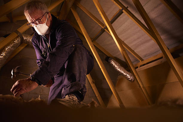 Best Geographic-Specific Insulation Services in Hailey, ID